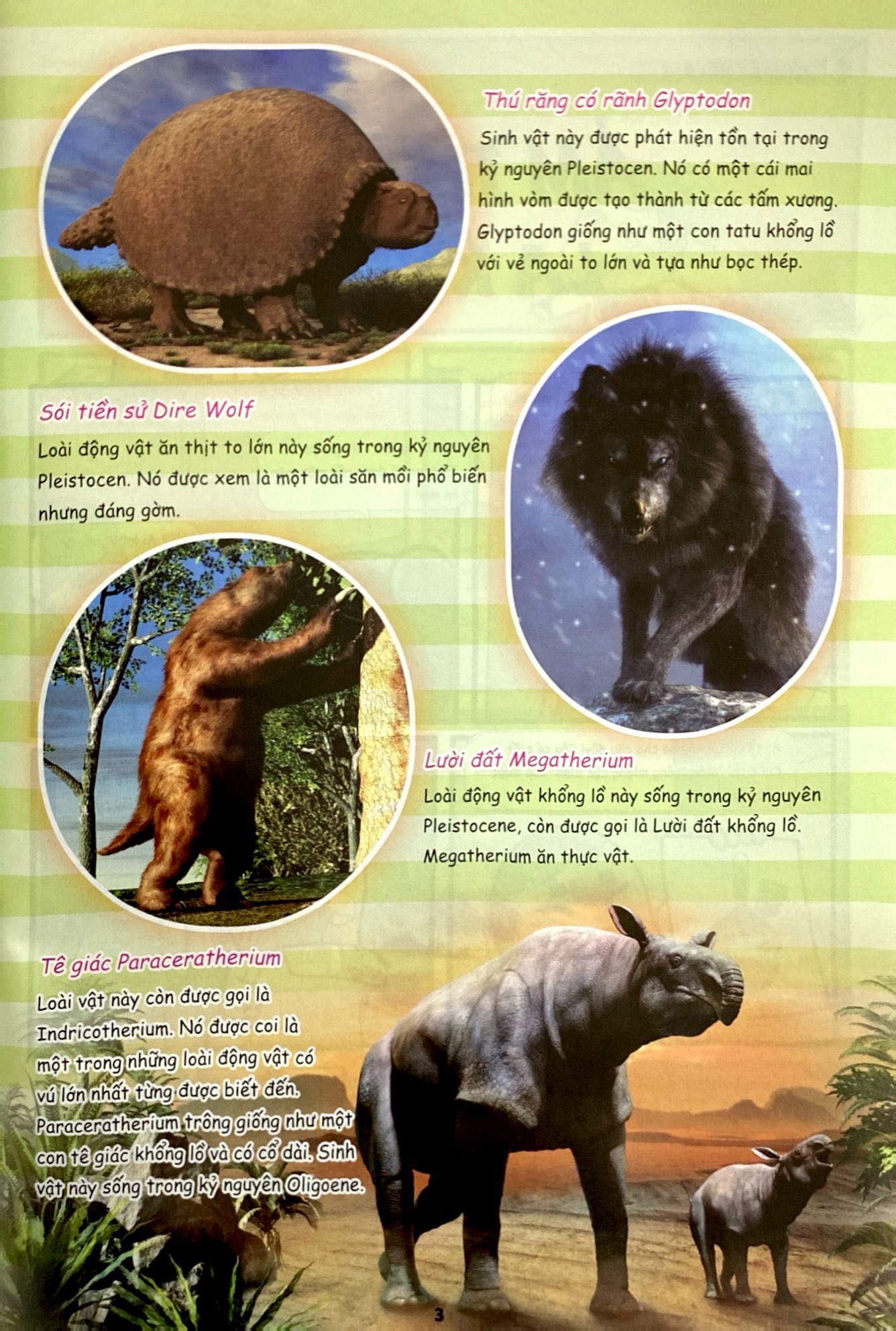 bộ bộ sách the young scientist - truyện tranh khoa học cho trẻ em - tập 5 - level 1+2+3 (bộ 3 cuốn) - tặng kèm túi gôm 3d hoohoohaha® ngẫu nhiên