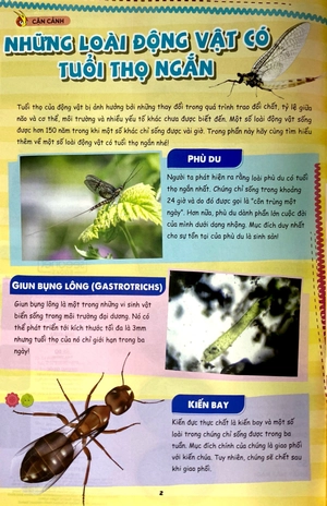 bộ bộ sách the young scientist - truyện tranh khoa học cho trẻ em - tập 7 - level 1+2+3 (bộ 3 cuốn)