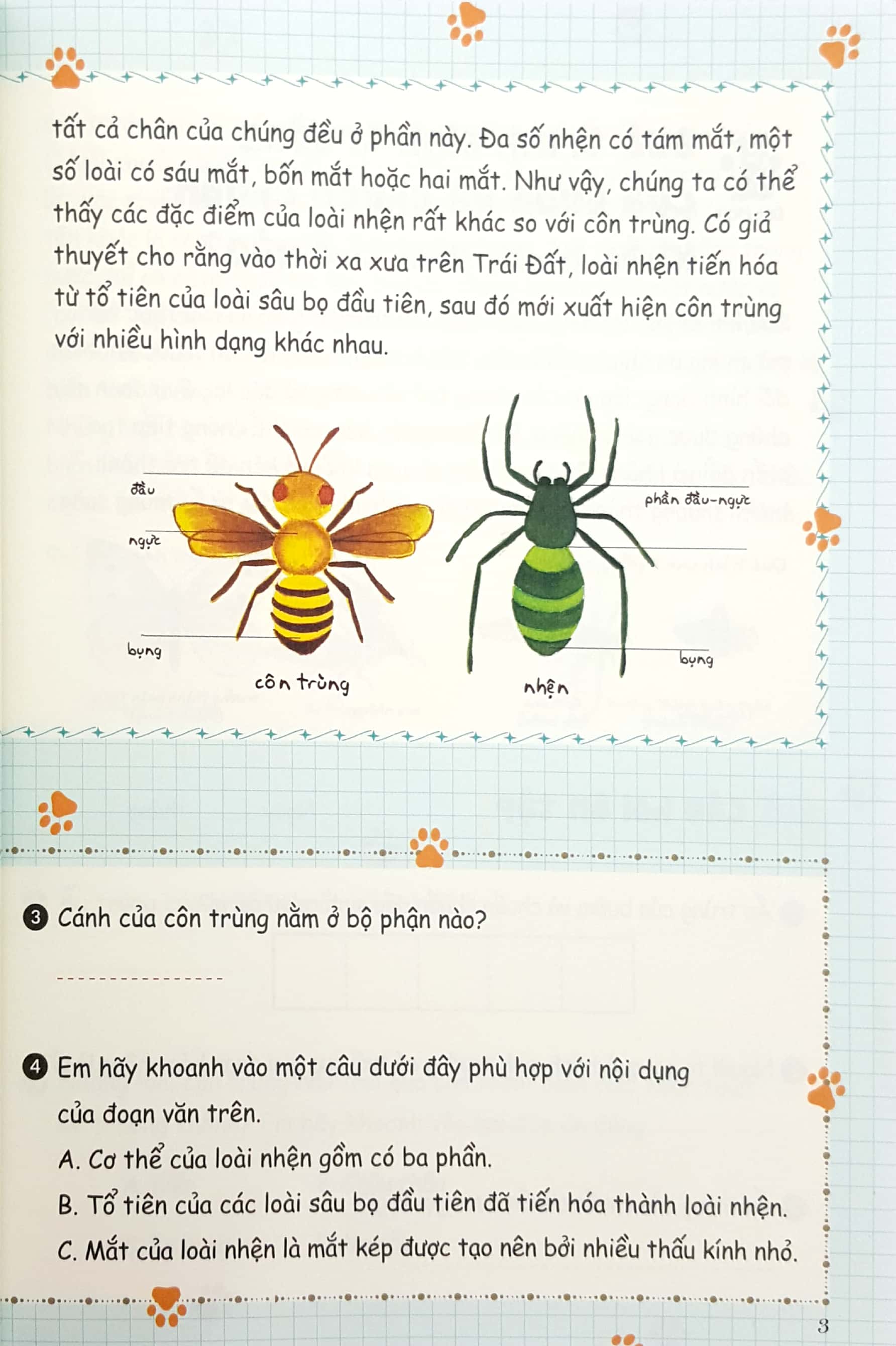 bộ bồi dưỡng kĩ năng đọc hiểu cho học sinh tiểu học - bí mật của tự nhiên - quyển 3 (tái bản 2019)
