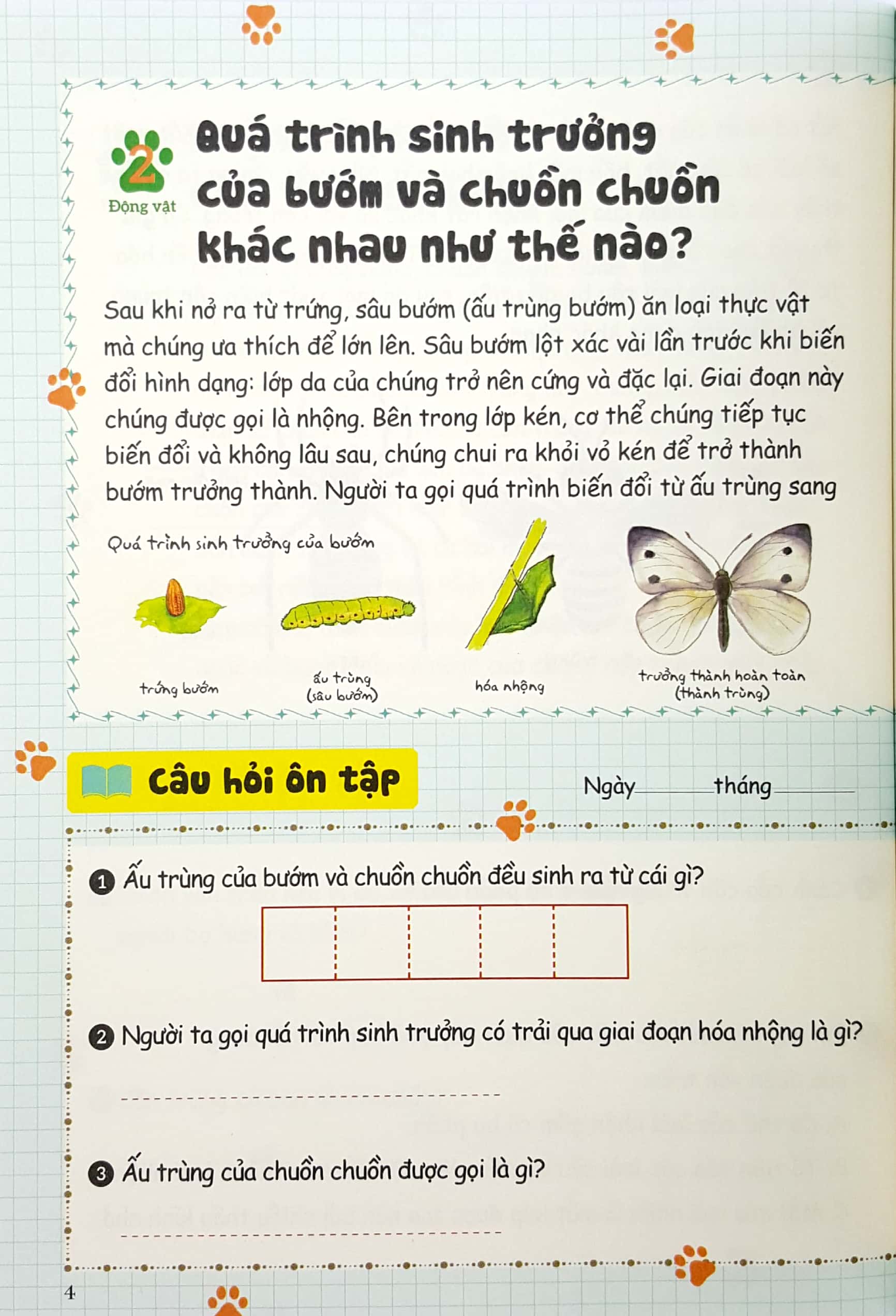 bộ bồi dưỡng kĩ năng đọc hiểu cho học sinh tiểu học - bí mật của tự nhiên - quyển 3 (tái bản 2019)