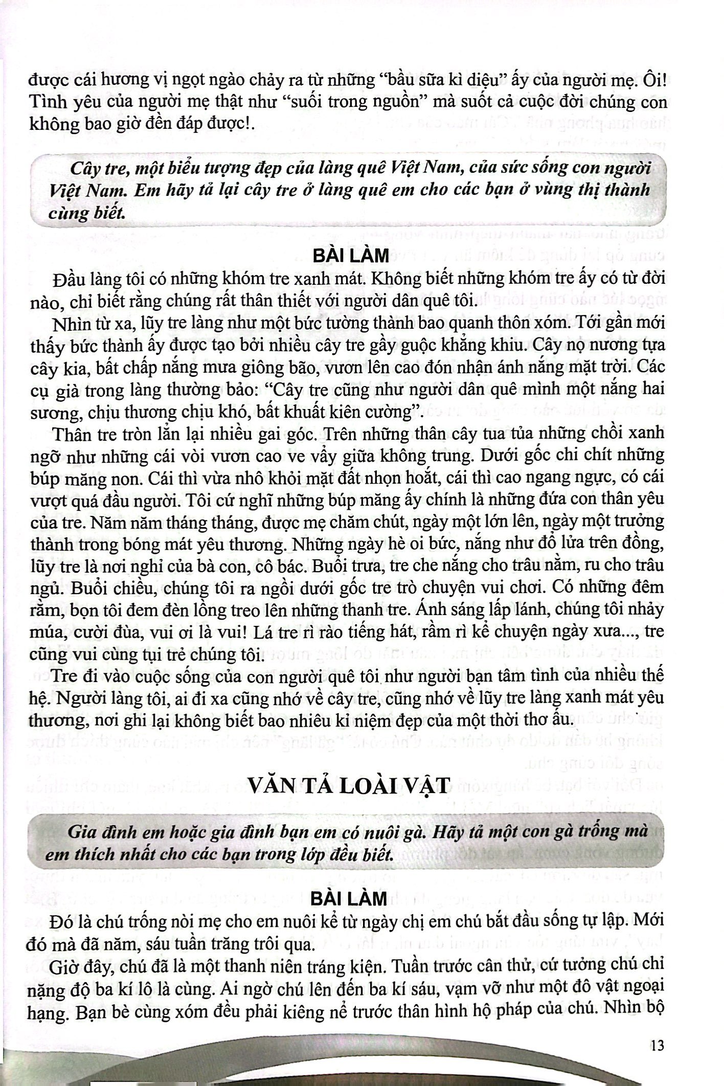 Bo
						
										
										Boi Duong Nang Khieu Van 5