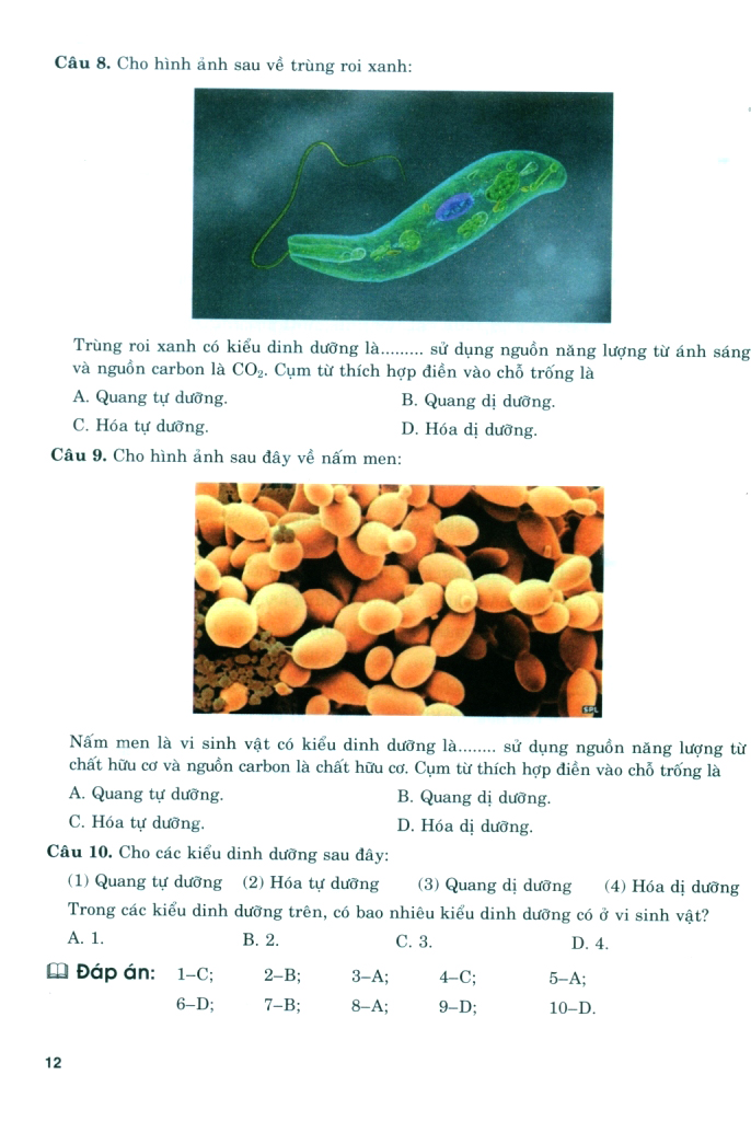 Bo
						
										
										Boi Duong Nang Luc Tu Hoc Sinh Hoc 11
