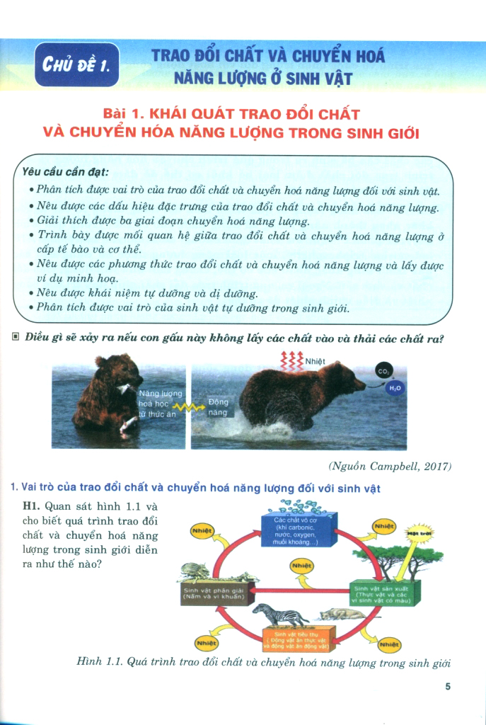 Bo
						
										
										Boi Duong Nang Luc Tu Hoc Sinh Hoc 11