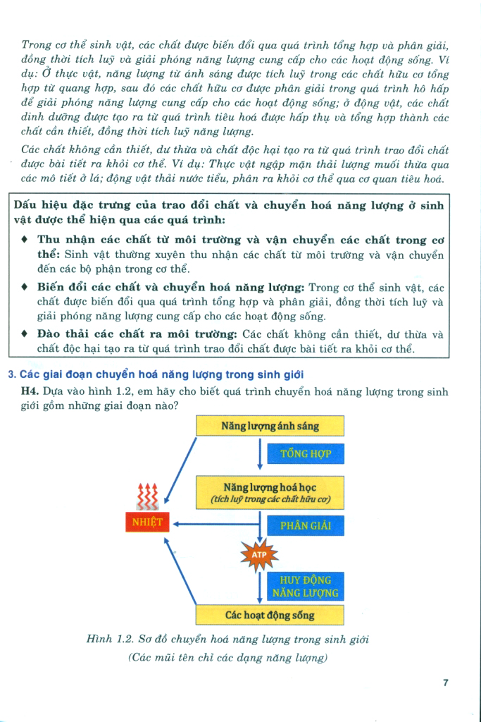 Bo
						
										
										Boi Duong Nang Luc Tu Hoc Sinh Hoc 11