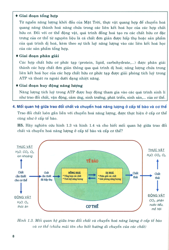 Bo
						
										
										Boi Duong Nang Luc Tu Hoc Sinh Hoc 11