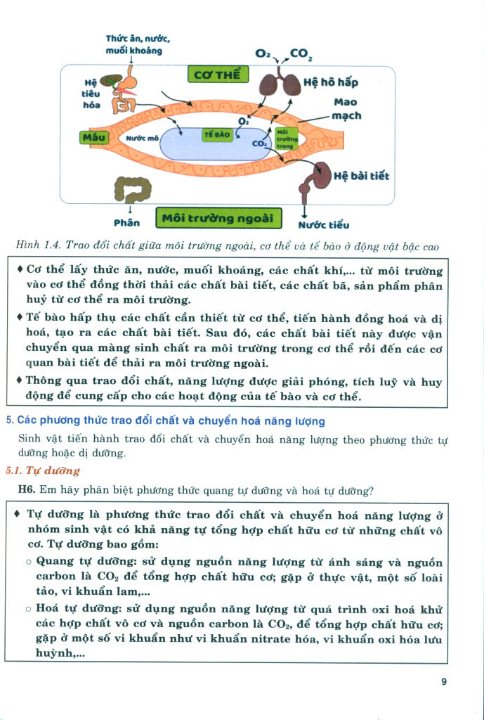 Bo
						
										
										Boi Duong Nang Luc Tu Hoc Sinh Hoc 11