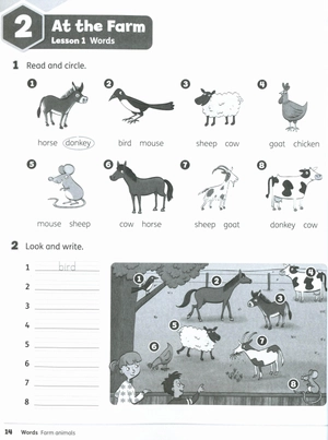 bộ buzz 2 workbook