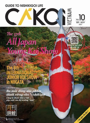 bộ cá koi - tập 10