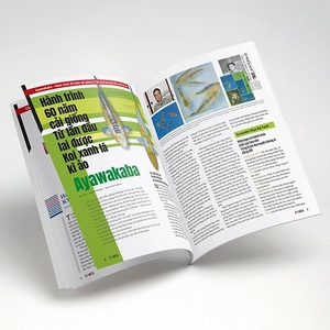 bộ cá koi - tập 11