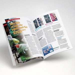 bộ cá koi - tập 11