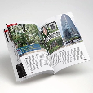 bộ cá koi - tập 11