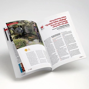 bộ cá koi - tập 11