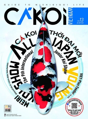 bộ cá koi - tập 13