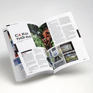 bộ cá koi - tập 13