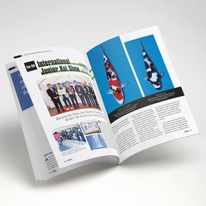 bộ cá koi - tập 13