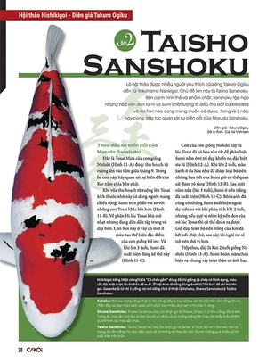 bộ cá koi - tập 4