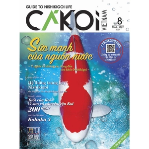 bộ cá koi - tập 8