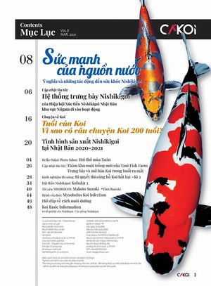 bộ cá koi - tập 8