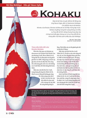 bộ cá koi - tập 8