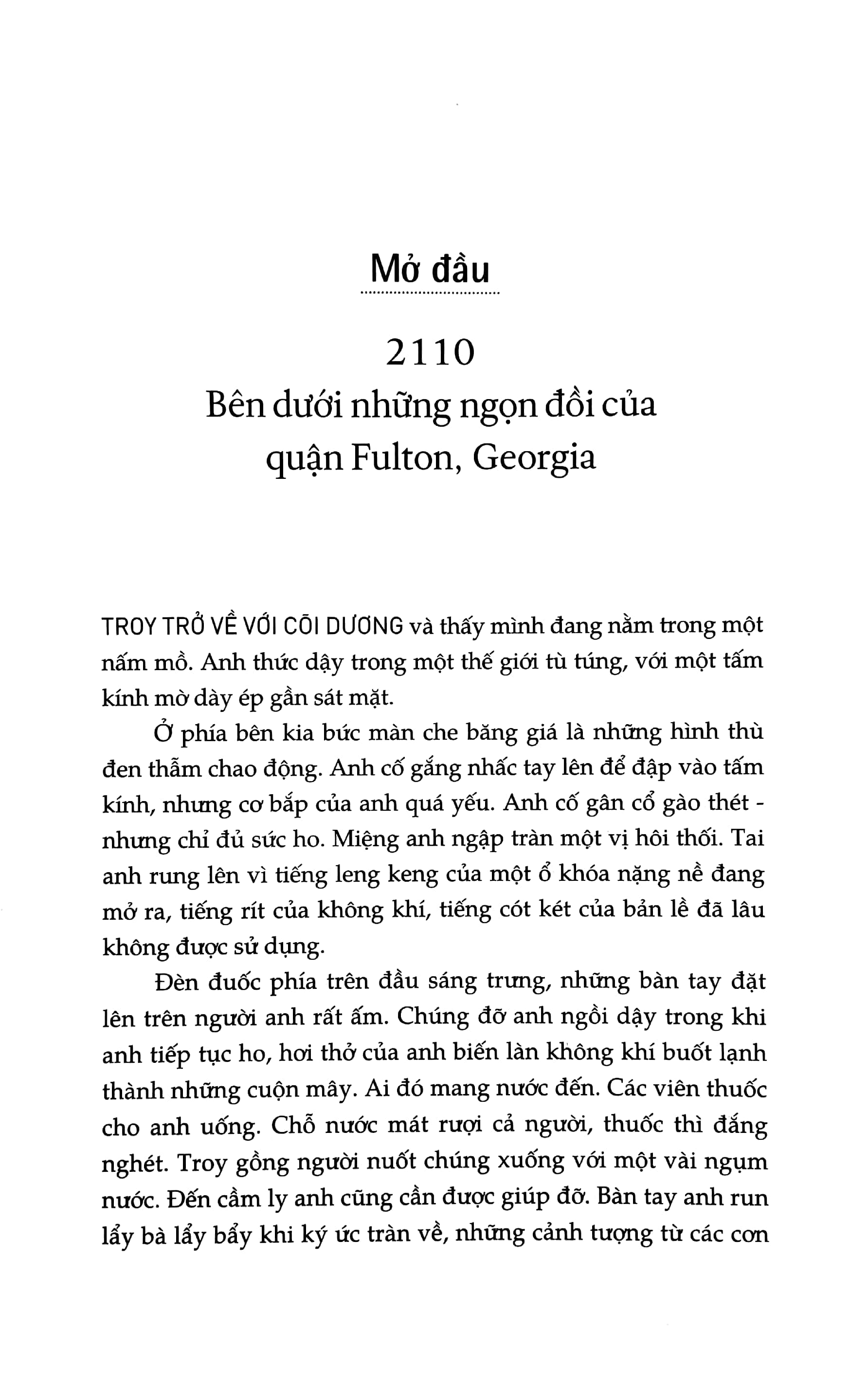 bộ ca trực - silo tháp giống #2