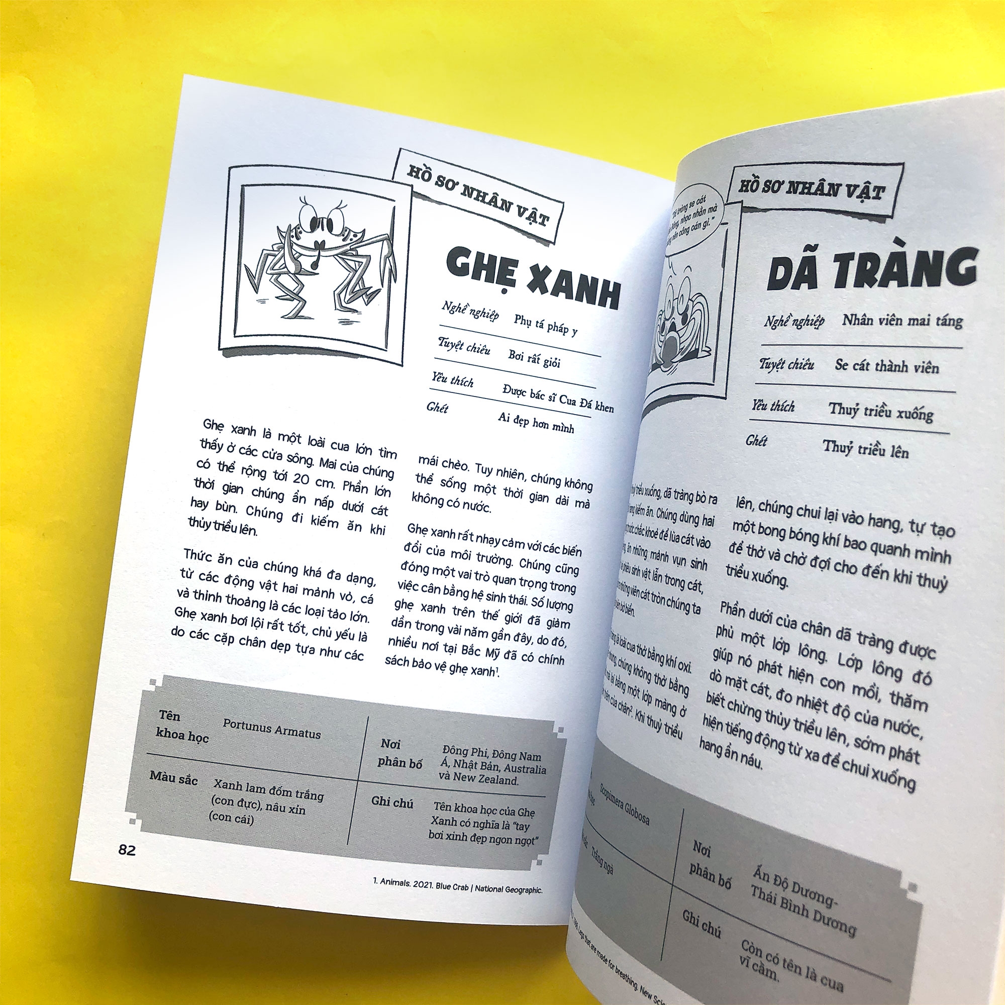 bộ câu chuyện đại dương - tập 1: cá chuồn kỳ án