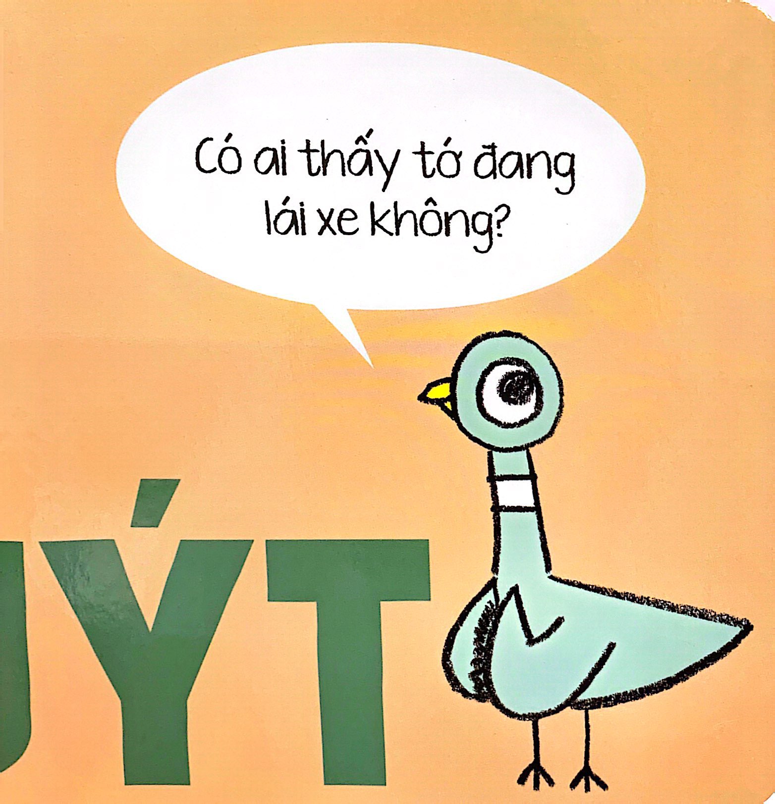 bồ câu cực thích những thứ biết đi!