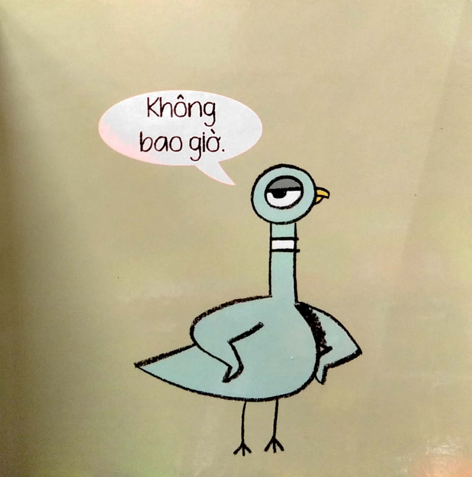 bồ câu cũng có cảm xúc đấy