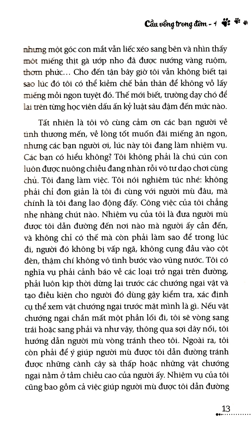 bộ cầu vồng trong đêm - tập 1 - cho những trái tim đang sống