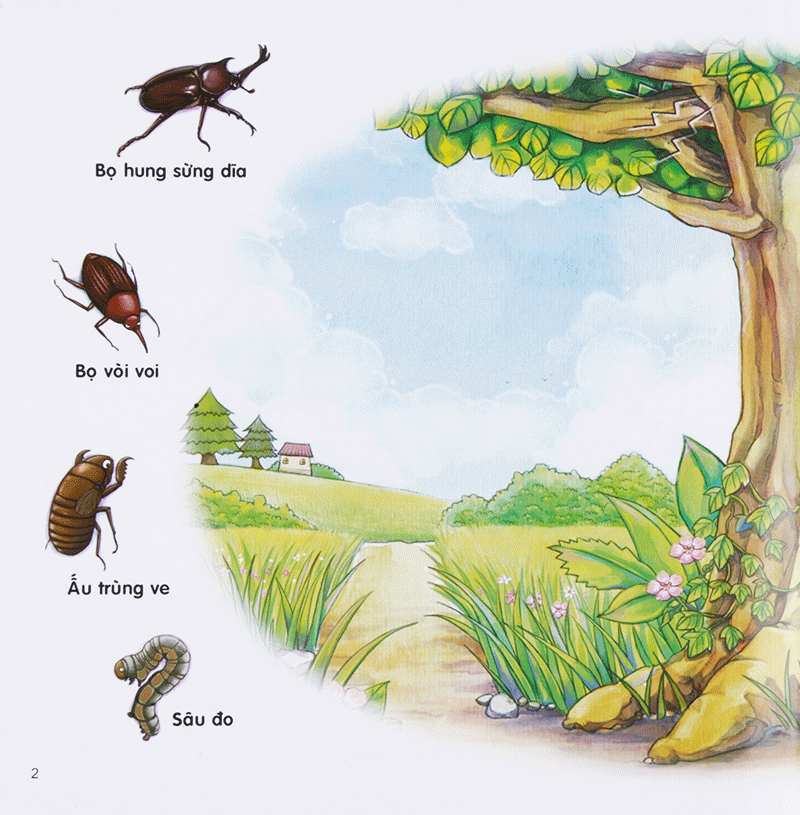 bộ chú mèo kẹo bi phiêu lưu trong xứ sở côn trùng (tập 3): trên cây