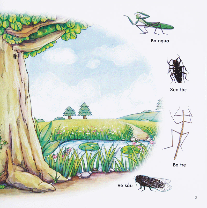 bộ chú mèo kẹo bi phiêu lưu trong xứ sở côn trùng (tập 3): trên cây