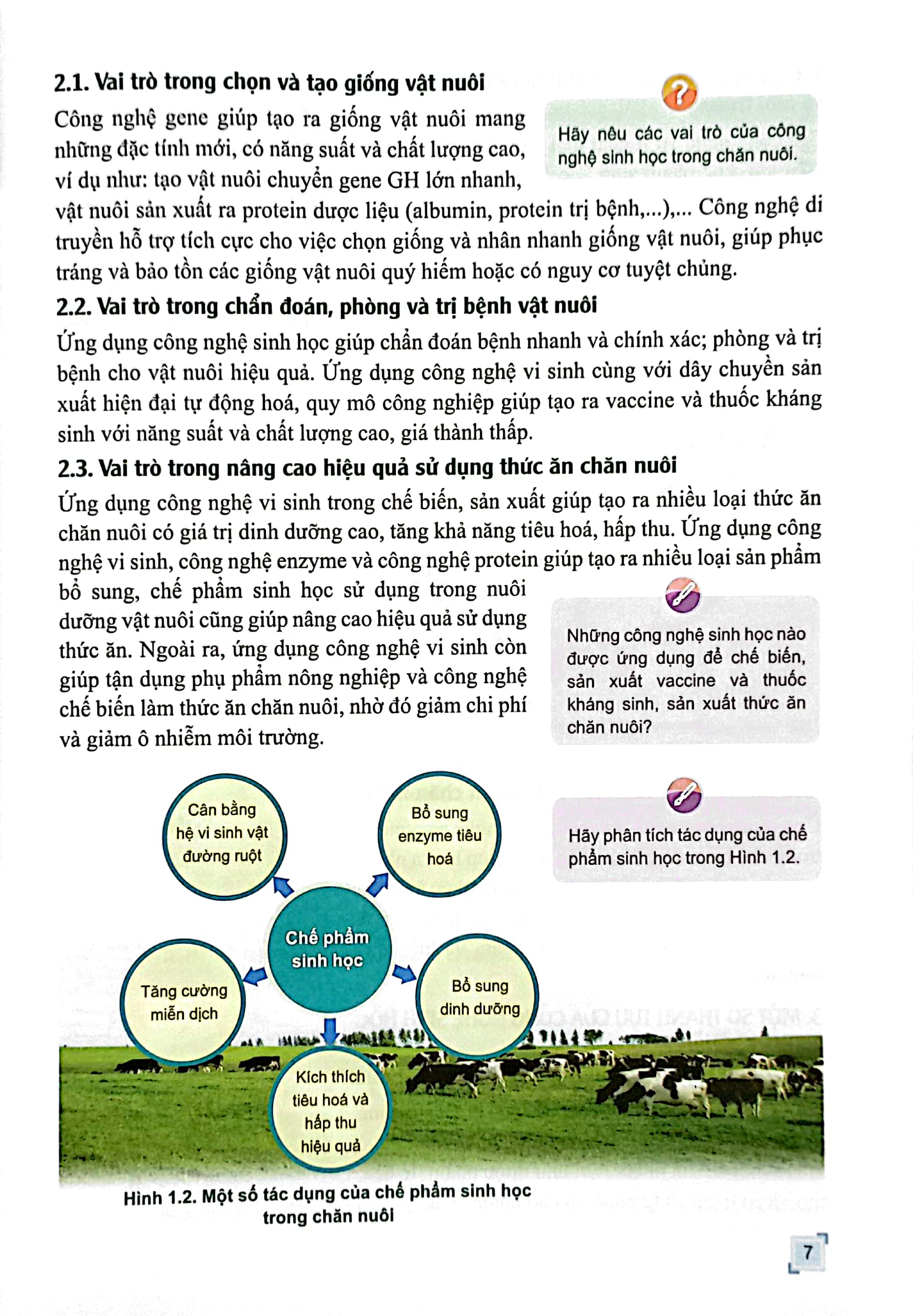 Bo
						
										
										Chuyen De Hoc Tap Cong Nghe 11 - Cong Nghe Chan Nuoi (Canh Dieu) (Chuan)