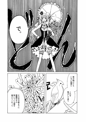 bộ clamp premium collection ×××holic 19