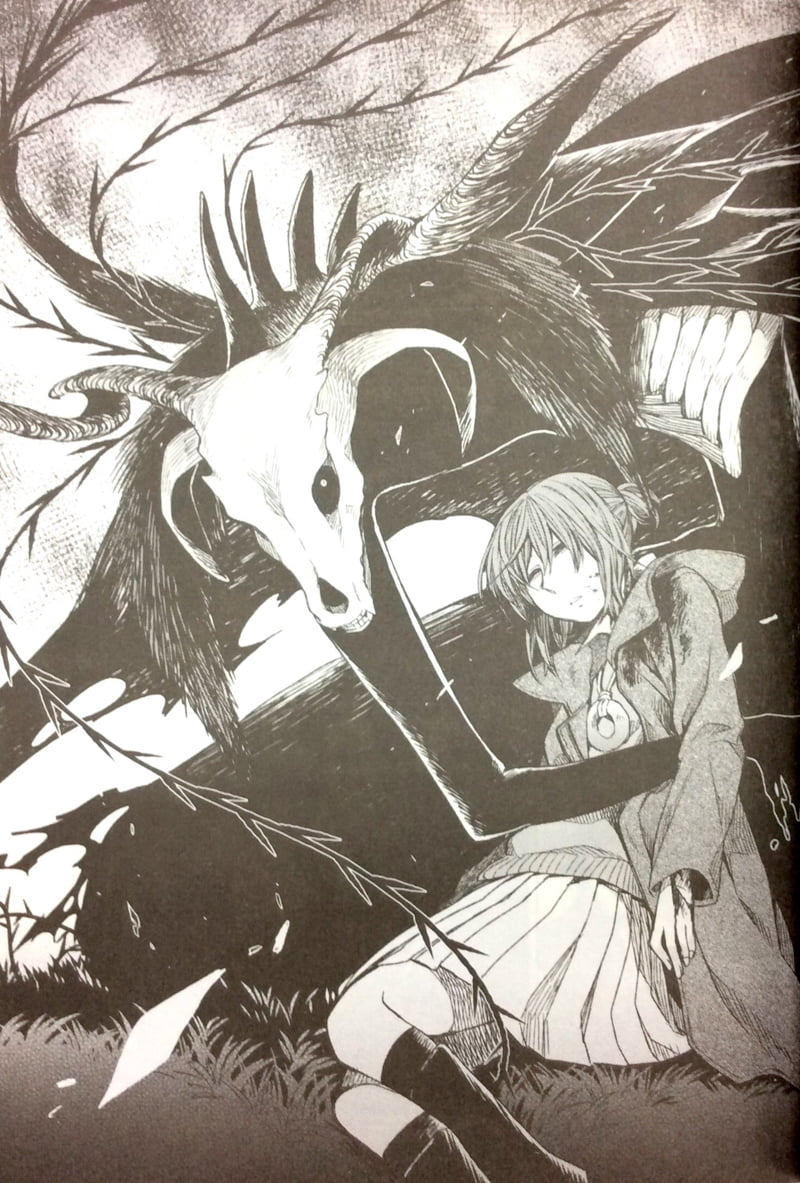 bộ cô dâu pháp sư - tập 3 (tái bản)