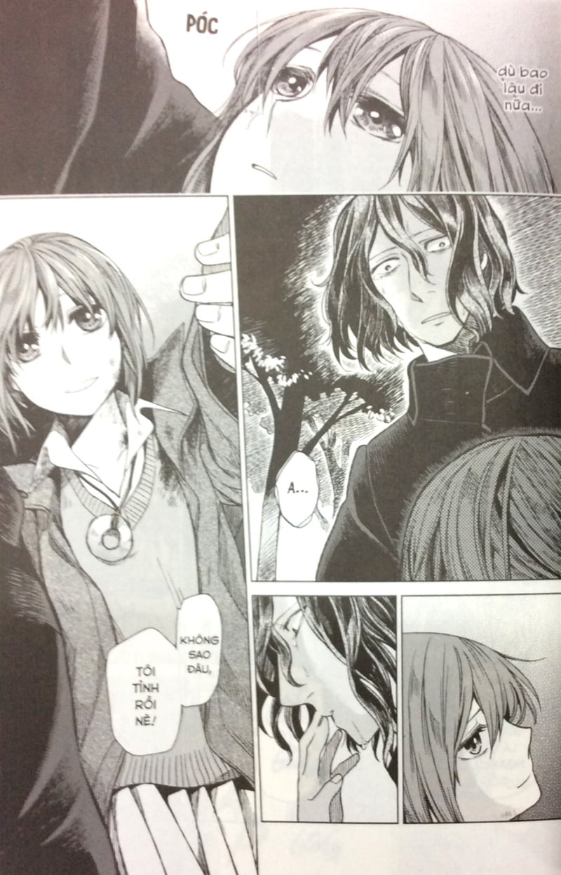 bộ cô dâu pháp sư - tập 3 (tái bản)