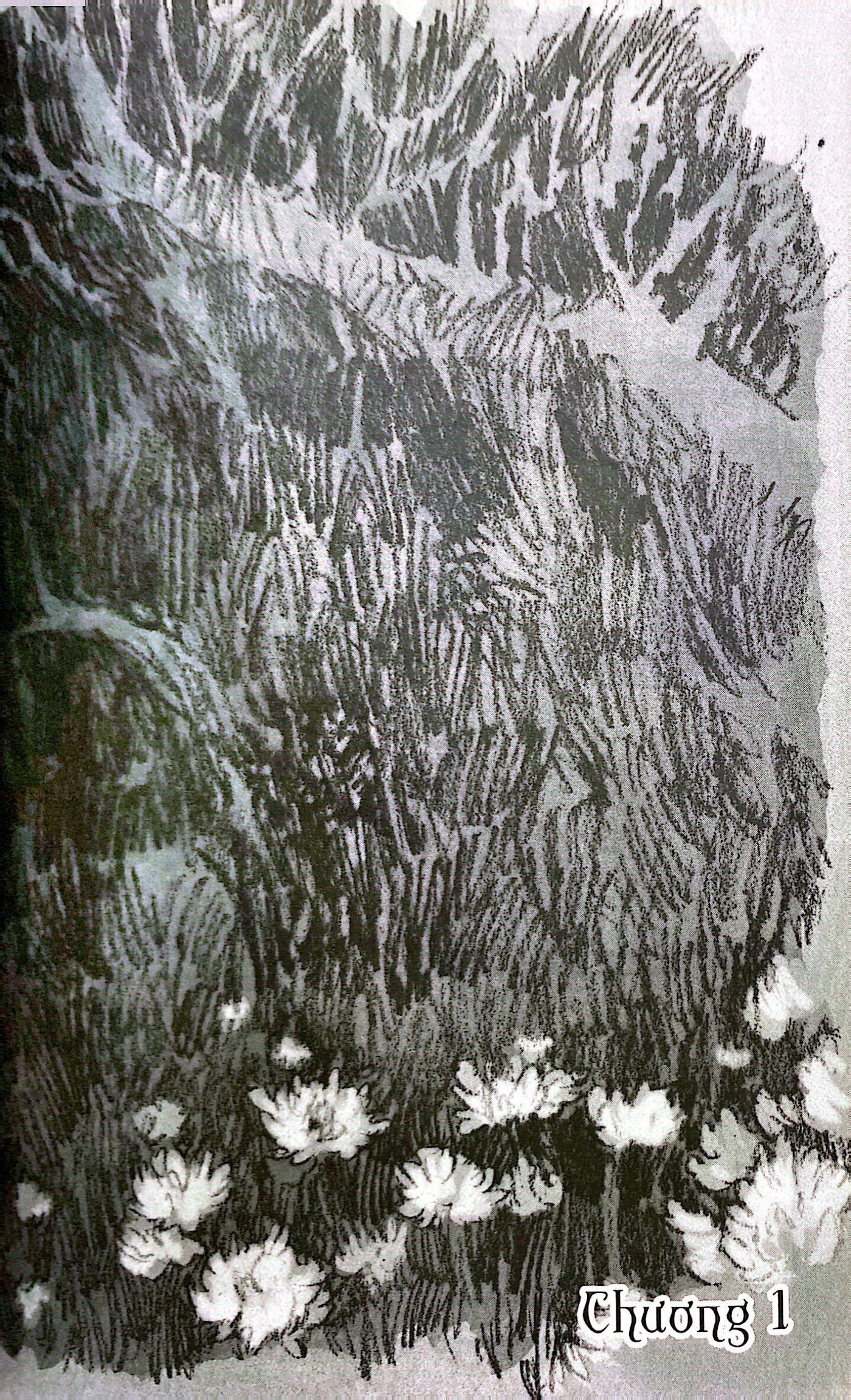 bộ cô gái nơi xứ ngoài - tập 1