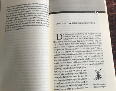 bộ côn trùng ký (ấn bản đầy đủ nhất) (tập 2)