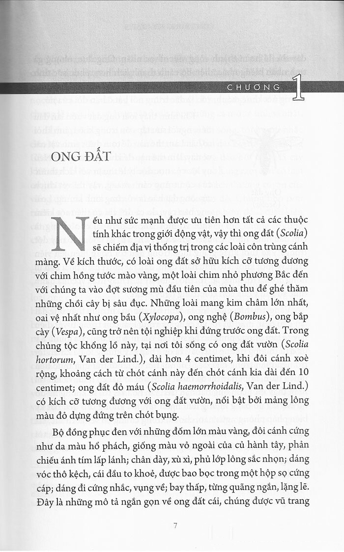 bộ côn trùng ký (ấn bản đầy đủ nhất) - tập 3