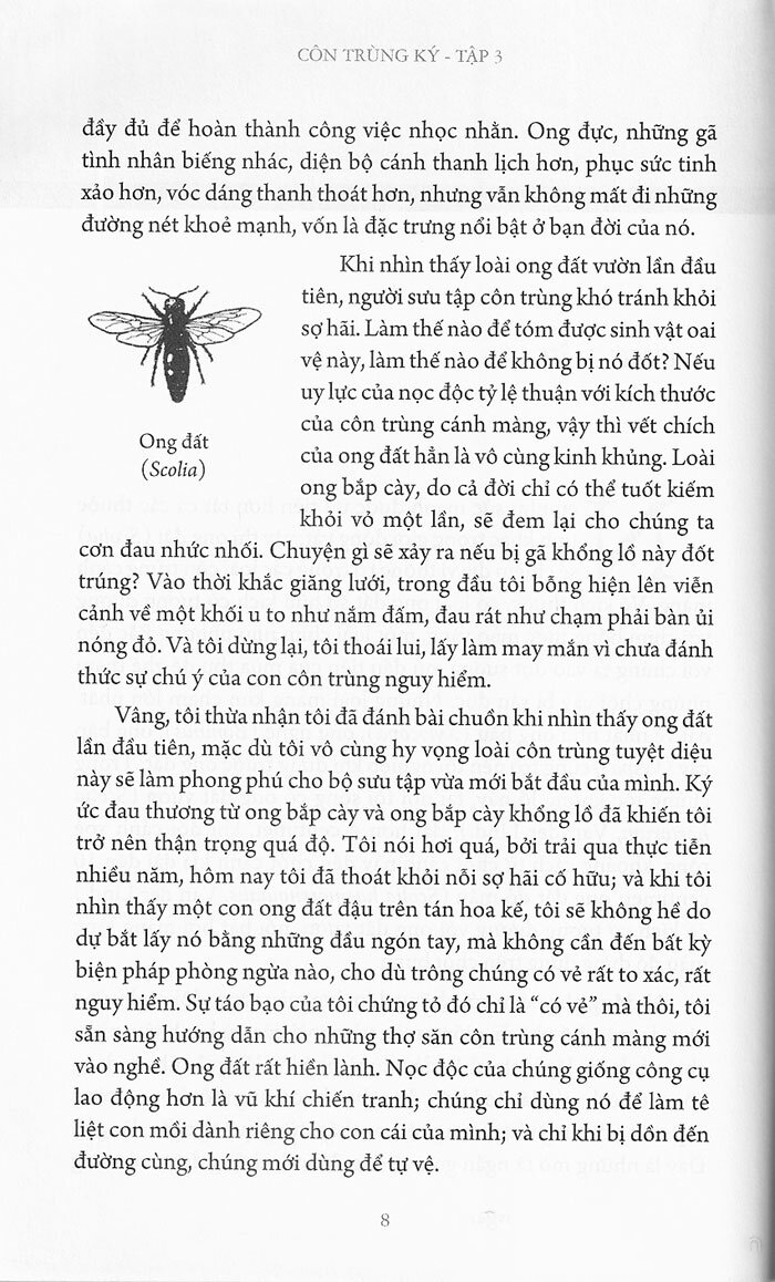 bộ côn trùng ký (ấn bản đầy đủ nhất) - tập 3