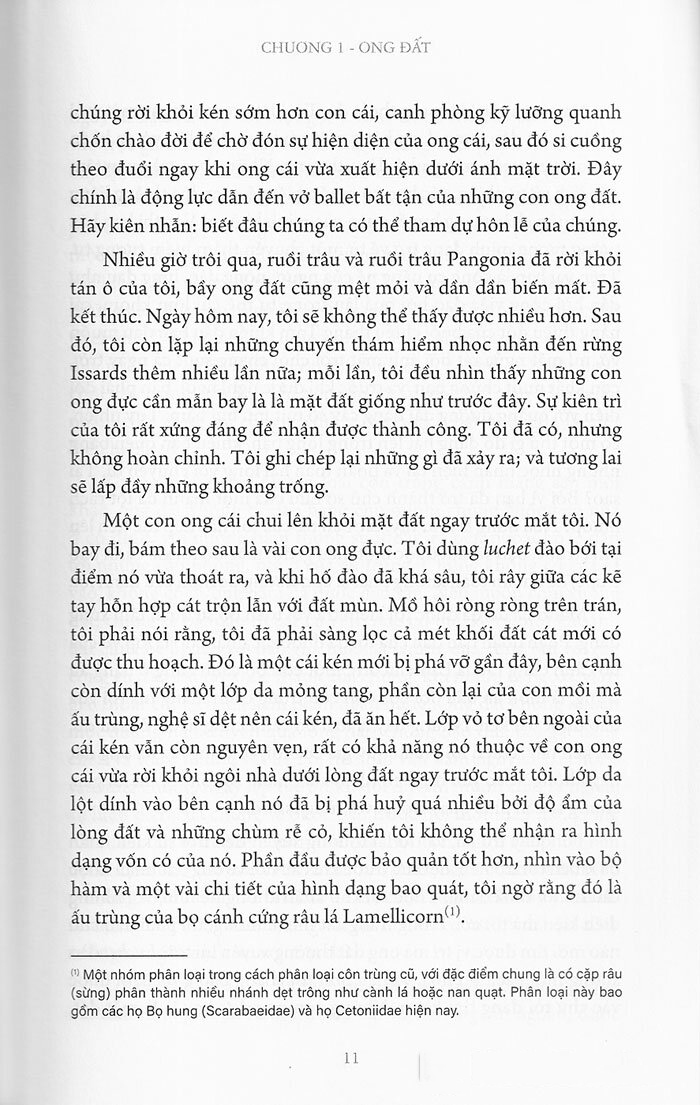 bộ côn trùng ký (ấn bản đầy đủ nhất) - tập 3