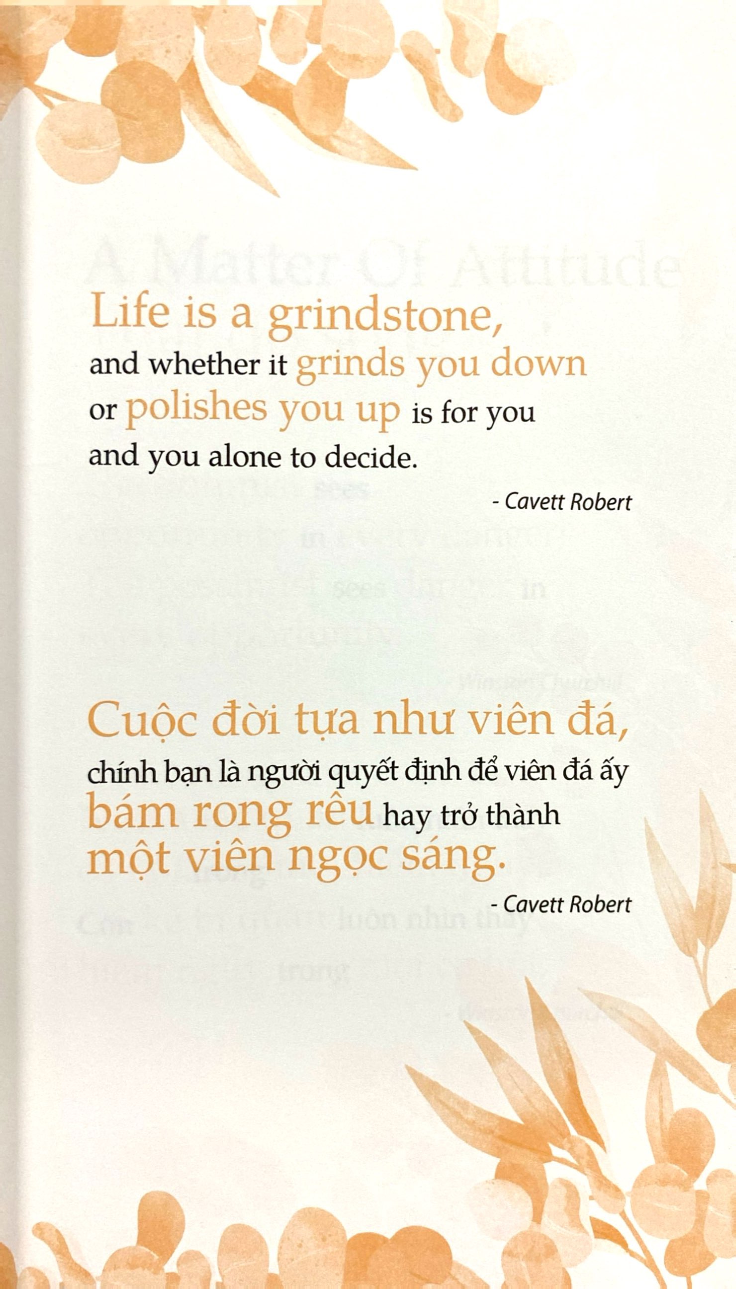 bộ condensed chicken soup for the soul 2 - quà tặng cuộc sống từ những câu chuyện xúc động (2022)