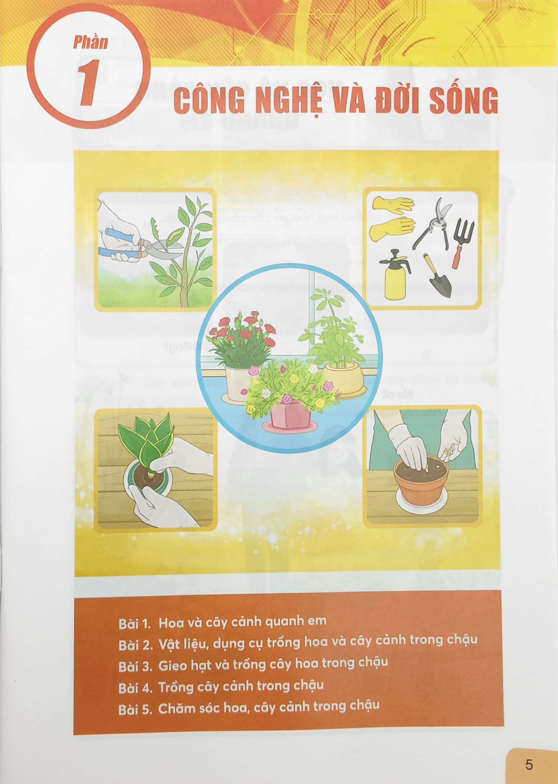 bộ công nghệ 4 (chân trời sáng tạo) (chuẩn)