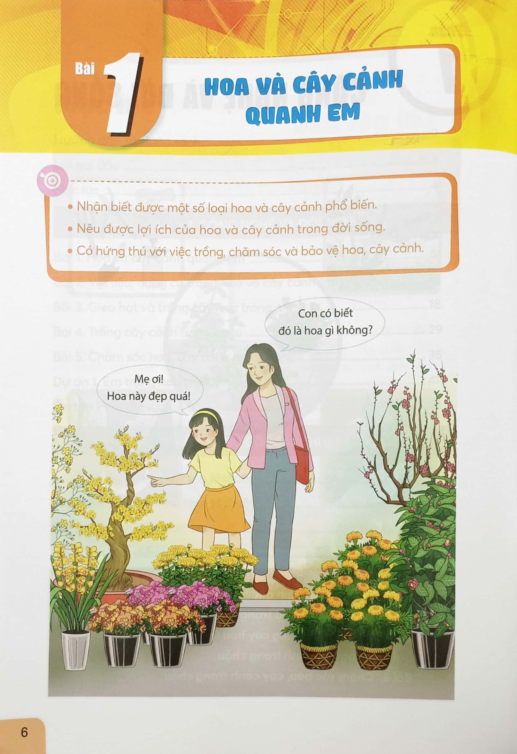 bộ công nghệ 4 (chân trời sáng tạo) (chuẩn)