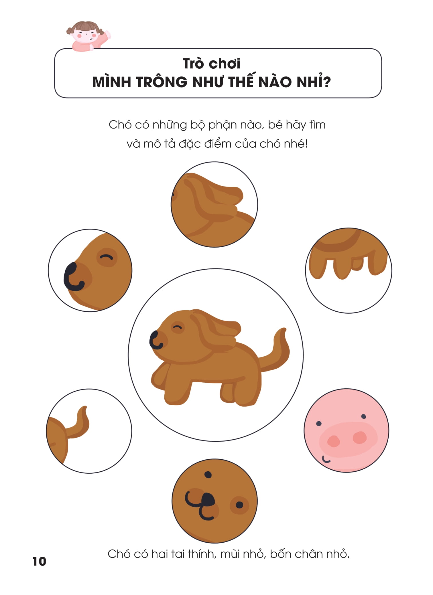 Bo
						
										
										Cung Con Hoc Noi 2 - Bat Chuoc That Thu Vi