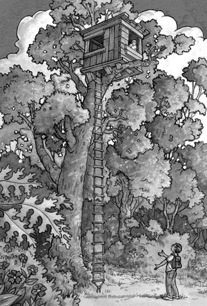 bộ dinosaurs before dark (magic tree house, no. 1)