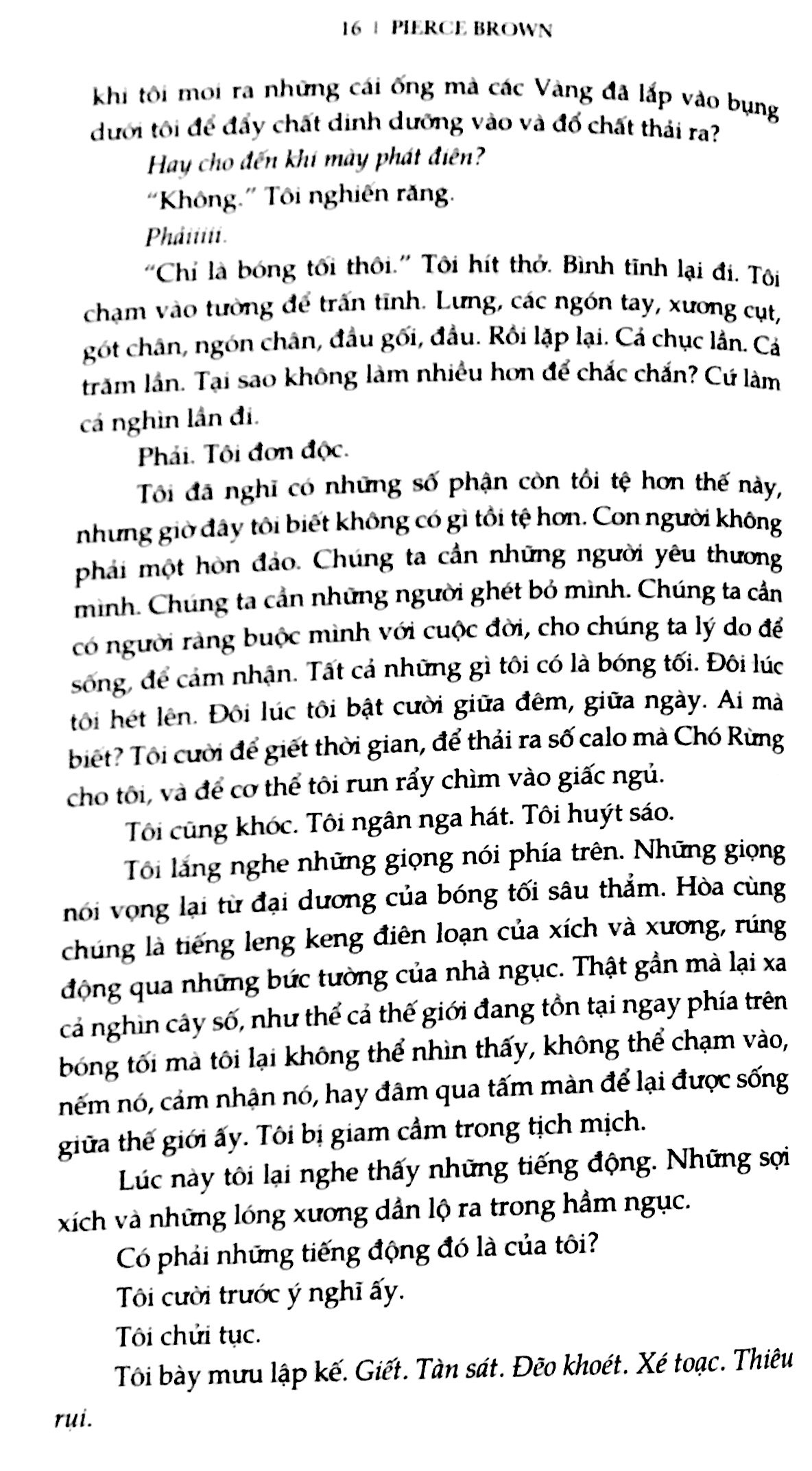 bộ đỏ trỗi dậy 3 - sao mai