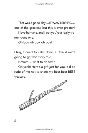 bộ dog diaries 1: a middle school story