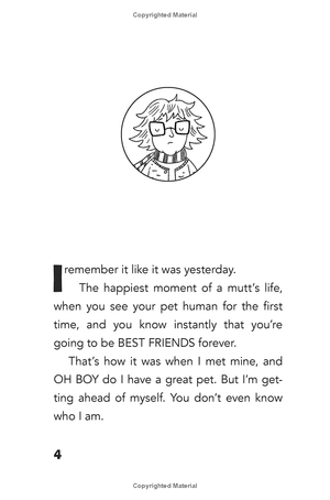 bộ dog diaries 1: a middle school story