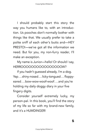 bộ dog diaries 1: a middle school story