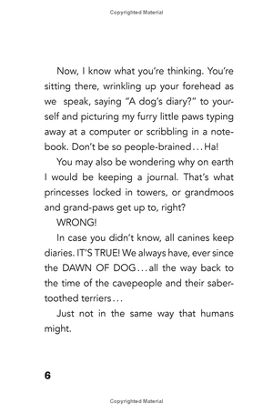 bộ dog diaries 1: a middle school story