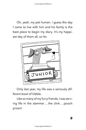 bộ dog diaries 1: a middle school story